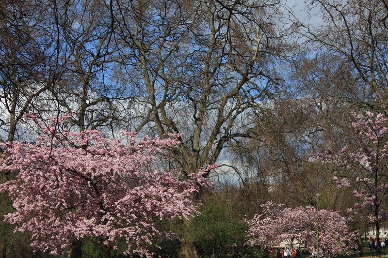 49-St.James Park,4 aprile 2010.JPG